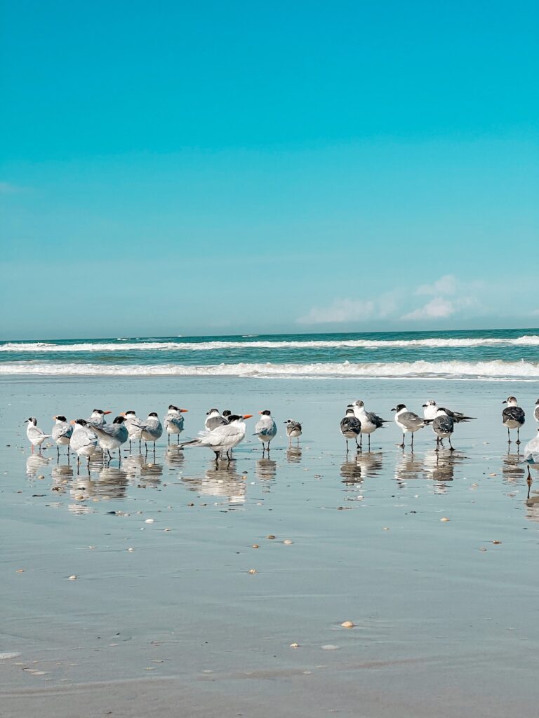 Holiday Hotel & Resort