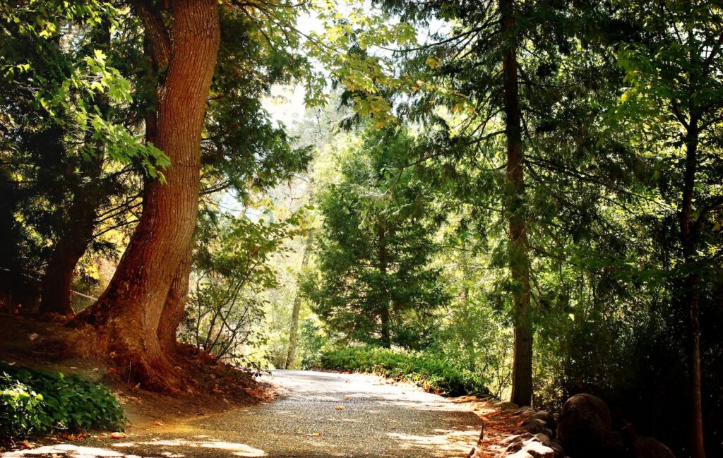 Stagecoach Inn Motel