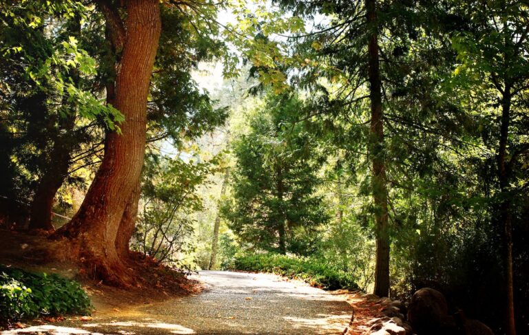 Stagecoach Inn Motel