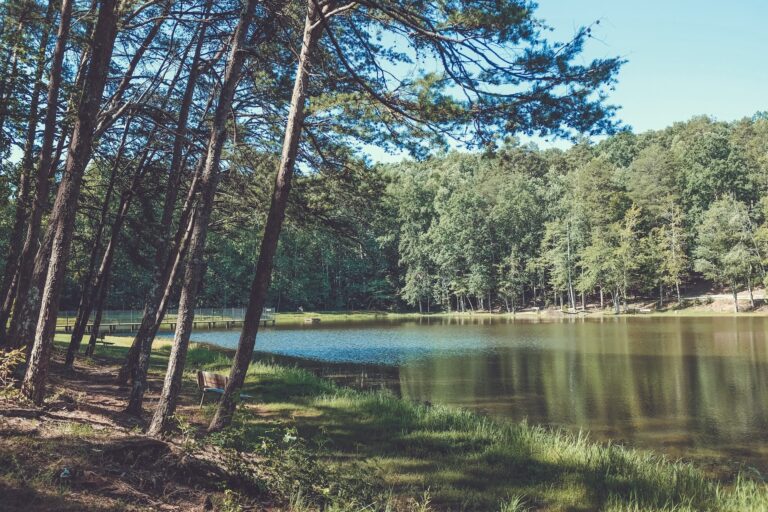 Greenville Inn & Suites