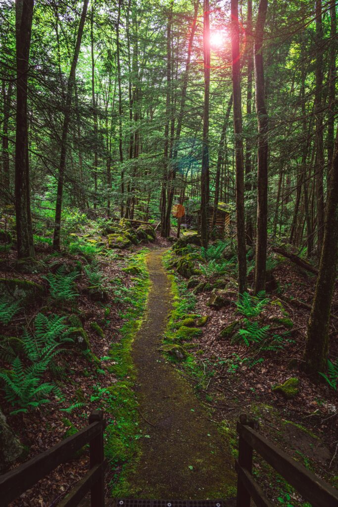 Holiday Lodge Hotel and Conference Center